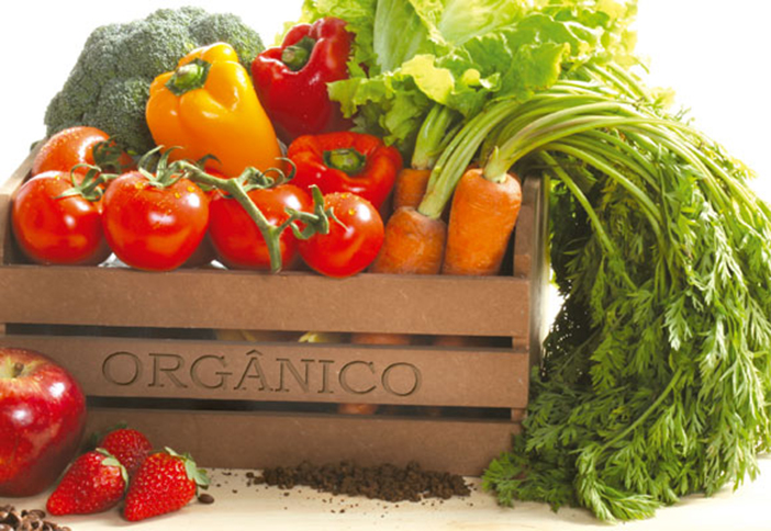 alimentos_orgnicos_2